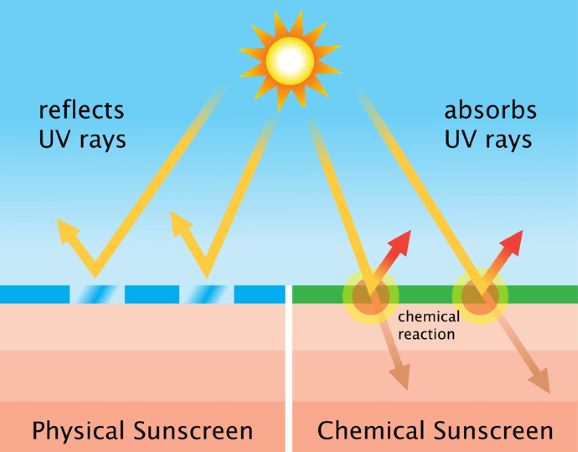 Sunscreens…..The Good, The Bad, and the Really Really&nbsp;Bad